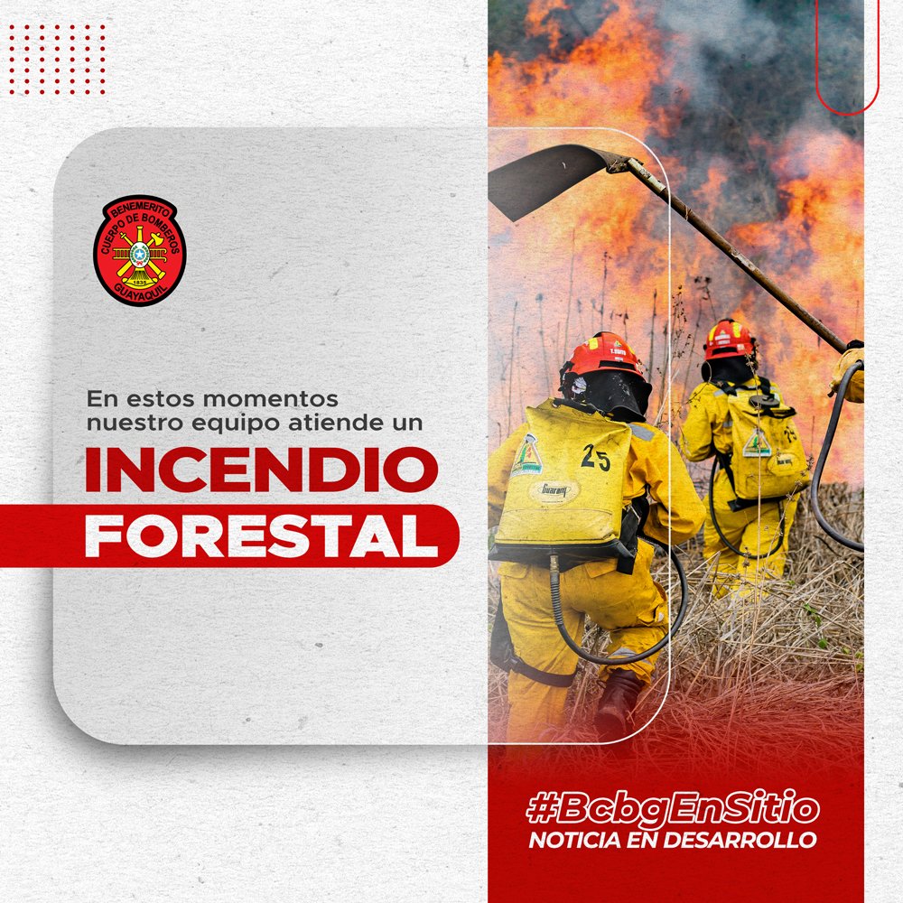 Incendio Forestal